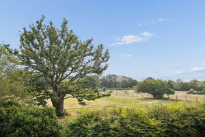 Photo 20- click for photo gallery